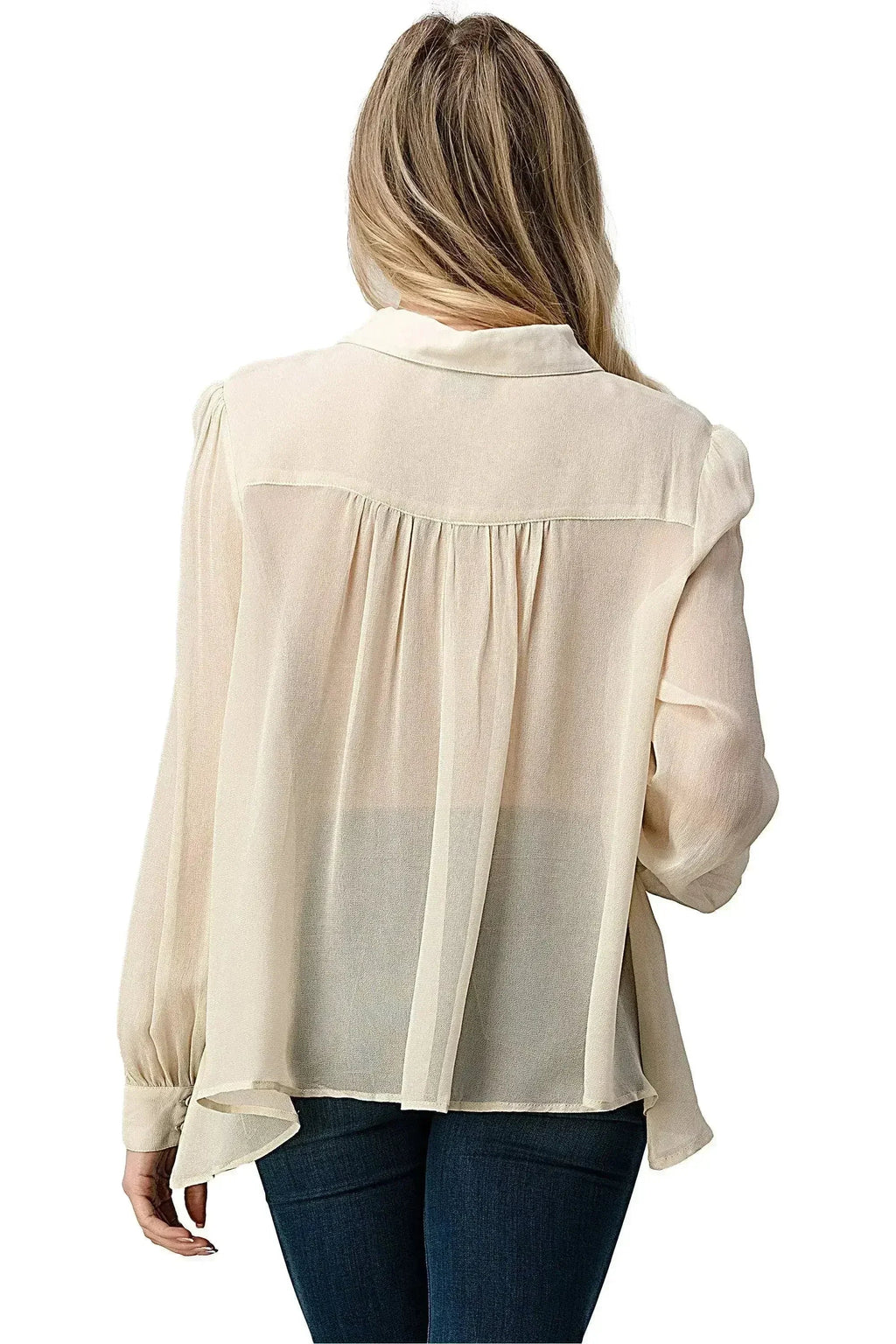 Embroidered Sheer Georgette Blouse with Beaded Trim