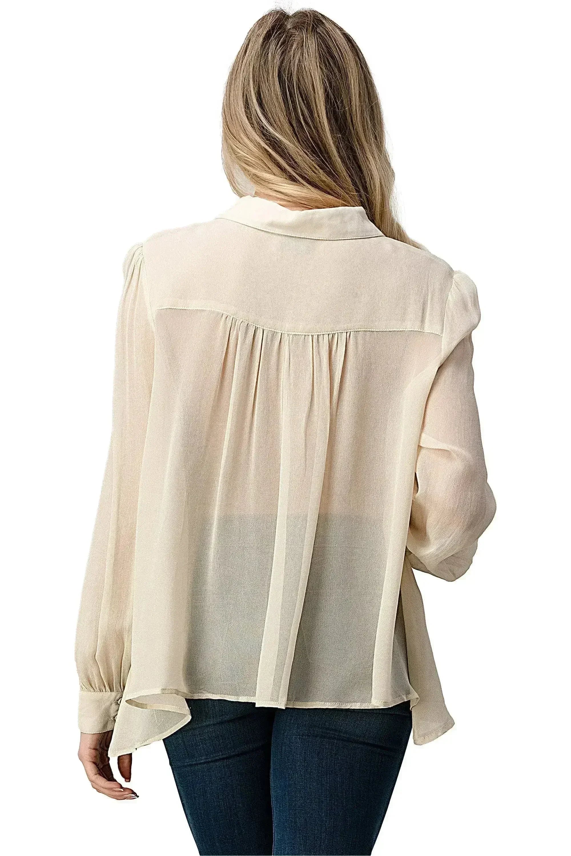 Embroidered Sheer Georgette Blouse with Beaded Trim