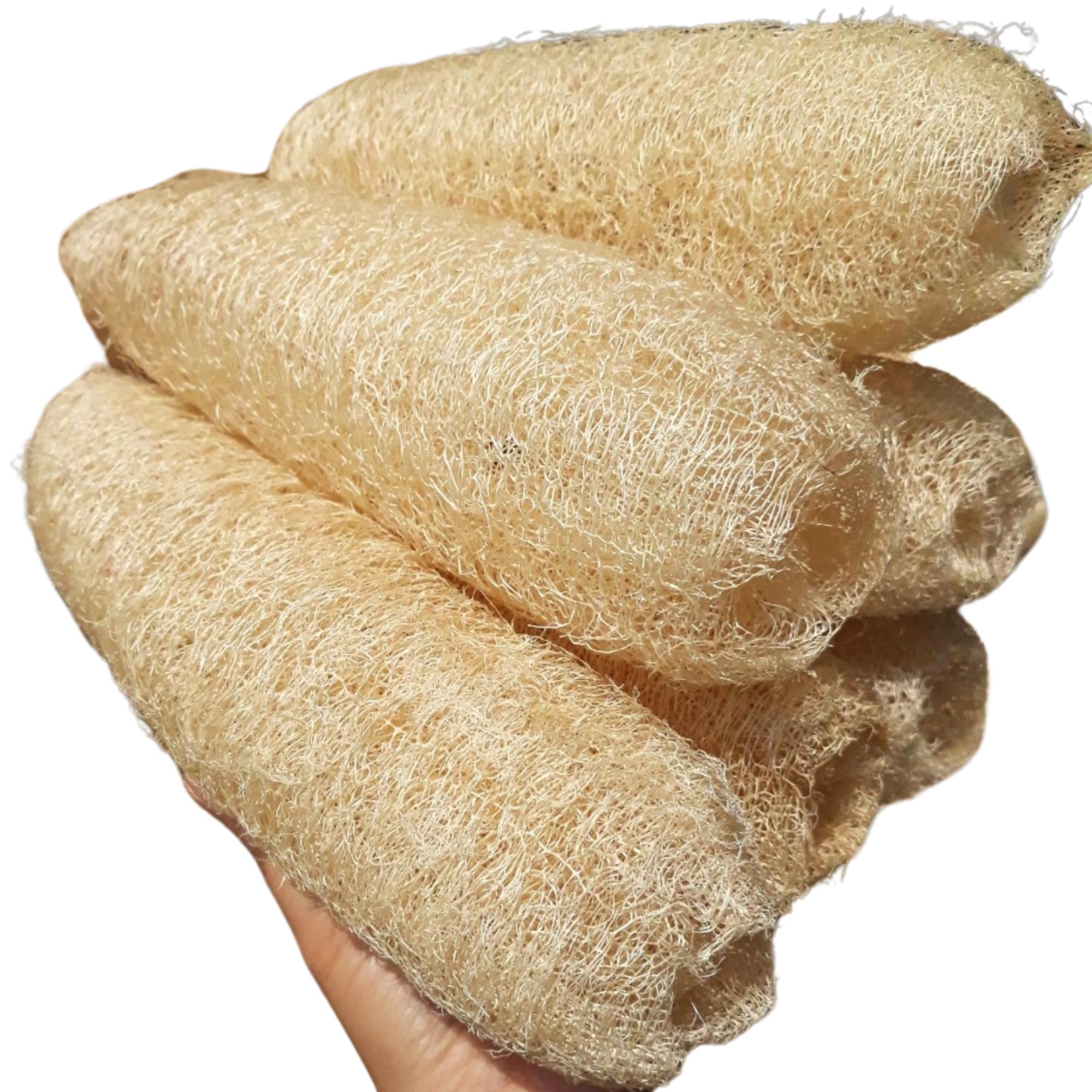 Natural Shower Loofah Sponge Set – 10 Pack (12–14 in)