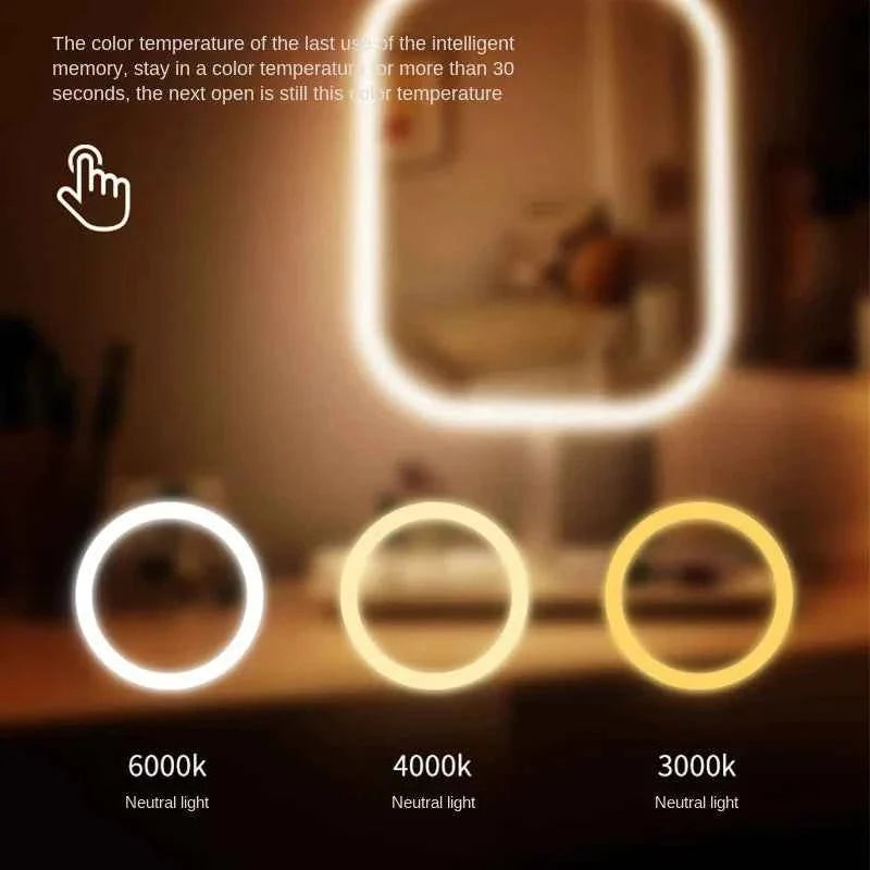 Rechargeable LED Vanity Mirror – 3 Light Colors, White or Pink