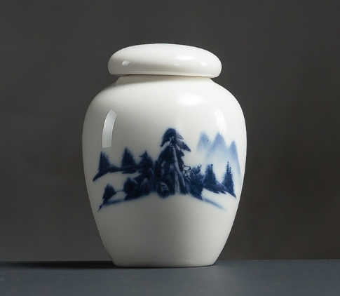 Ceramic Tea Canister and Storage Jar – Bottle Shape Design