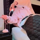 Flamingo Touch LED Desk Lamp with Phone Holder – Pink