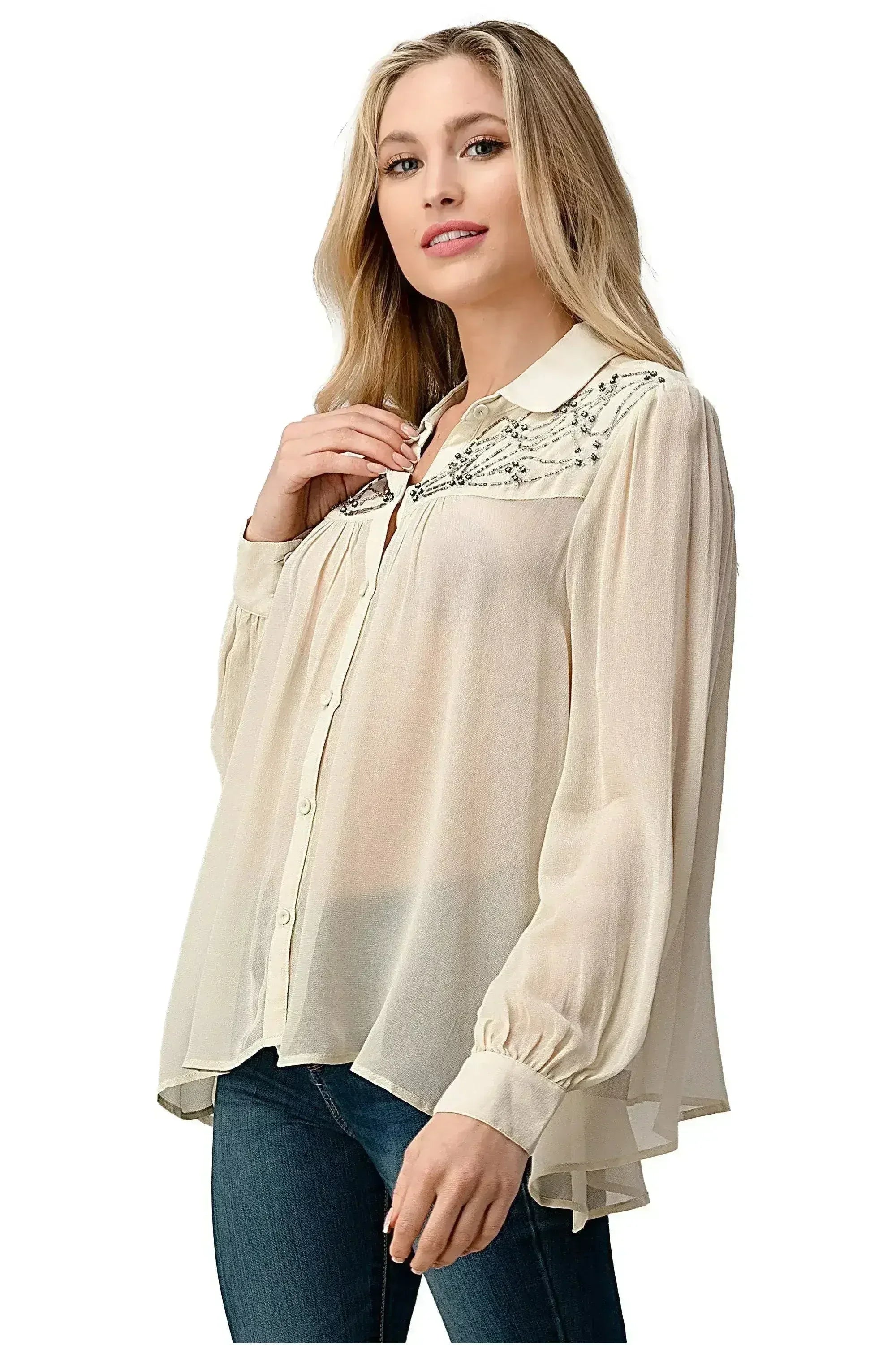 Embroidered Sheer Georgette Blouse with Beaded Trim