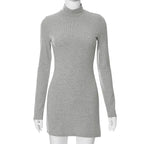 M23DS590 Women's Casual Long Sleeve Dress - Fall/Winter
